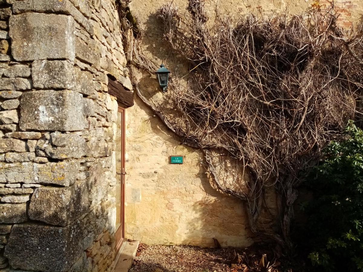 Saint-Genies La Vieille Ferme: Superbe Complexe De 3 Gites En Pierre Avec Piscine Au Coeur Du Perigord Noir מראה חיצוני תמונה