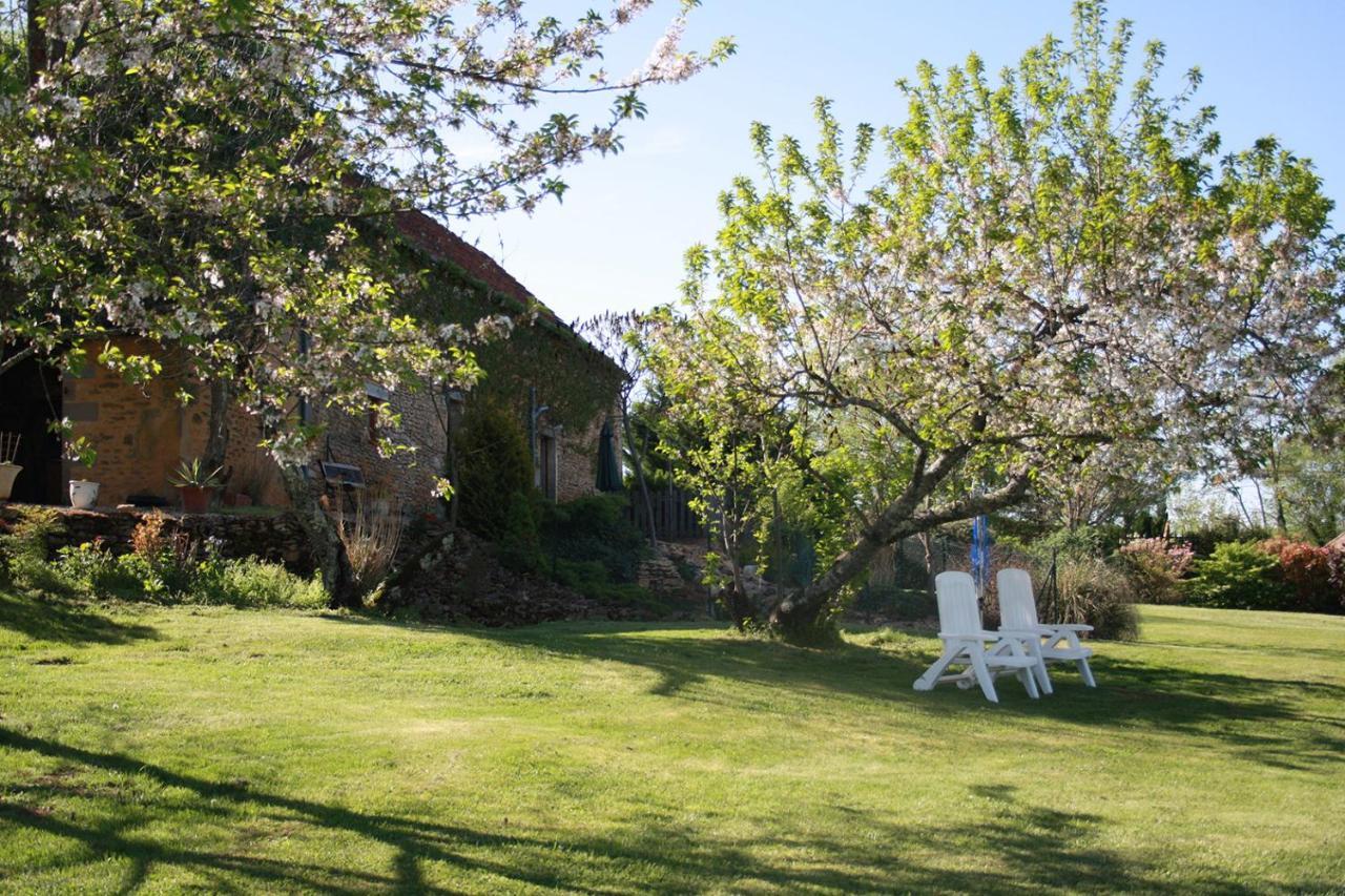 Saint-Genies La Vieille Ferme: Superbe Complexe De 3 Gites En Pierre Avec Piscine Au Coeur Du Perigord Noir מראה חיצוני תמונה