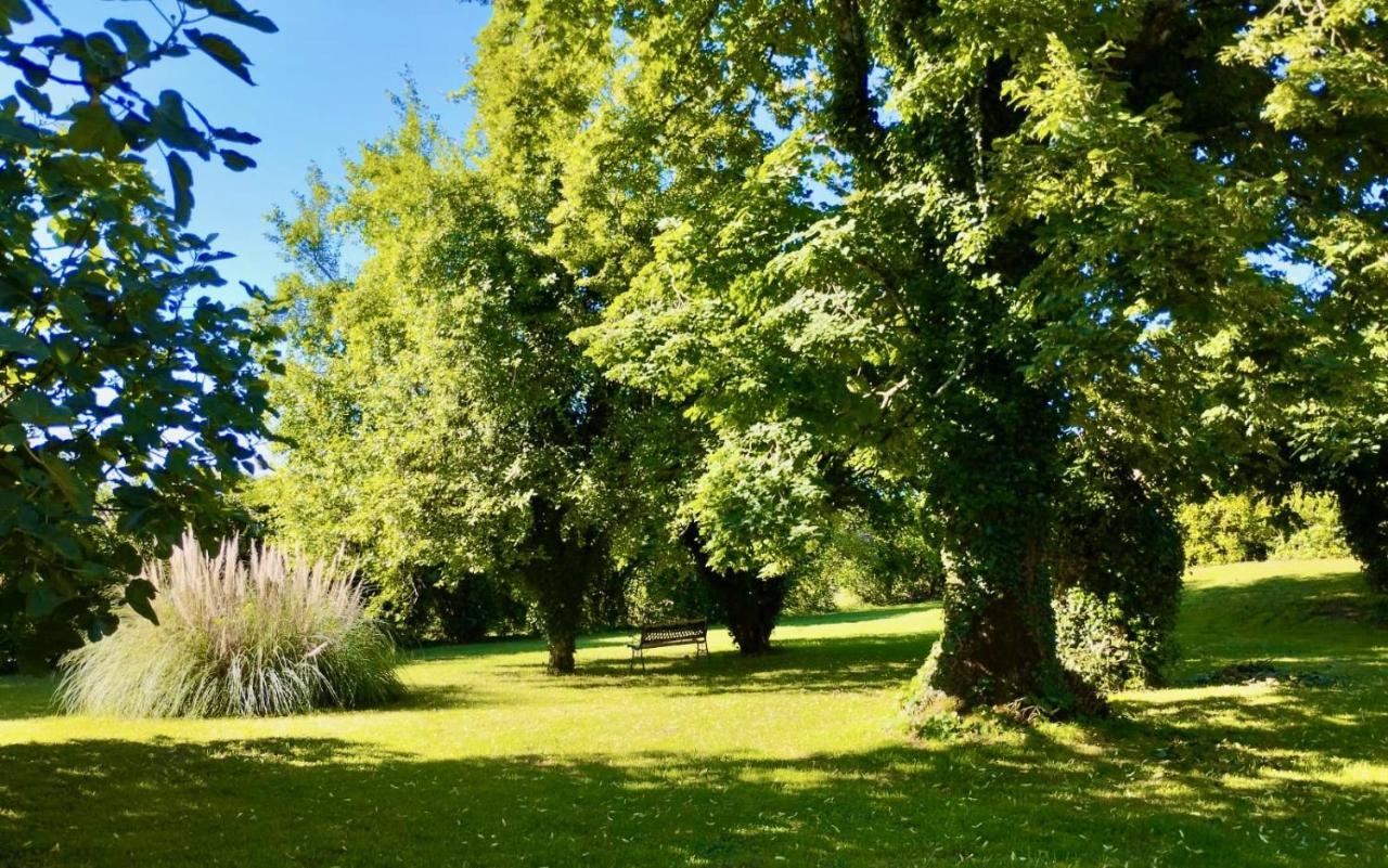 Saint-Genies La Vieille Ferme: Superbe Complexe De 3 Gites En Pierre Avec Piscine Au Coeur Du Perigord Noir מראה חיצוני תמונה