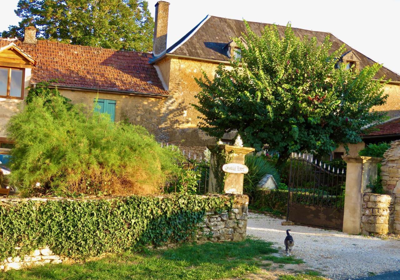 Saint-Genies La Vieille Ferme: Superbe Complexe De 3 Gites En Pierre Avec Piscine Au Coeur Du Perigord Noir מראה חיצוני תמונה
